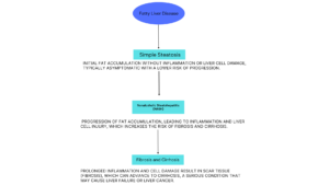 Hepatic steatosis: stages